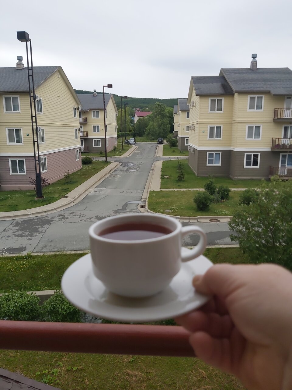 Гостиница Земляничные Холмы Южно-Сахалинск-142