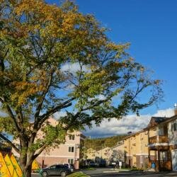 Гостиница Земляничные Холмы Южно-Сахалинск-17