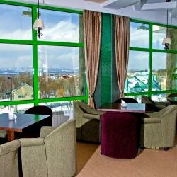 Гостиница Земляничные Холмы Южно-Сахалинск-110