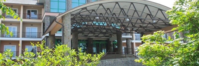 Гостиница Земляничные Холмы Южно-Сахалинск