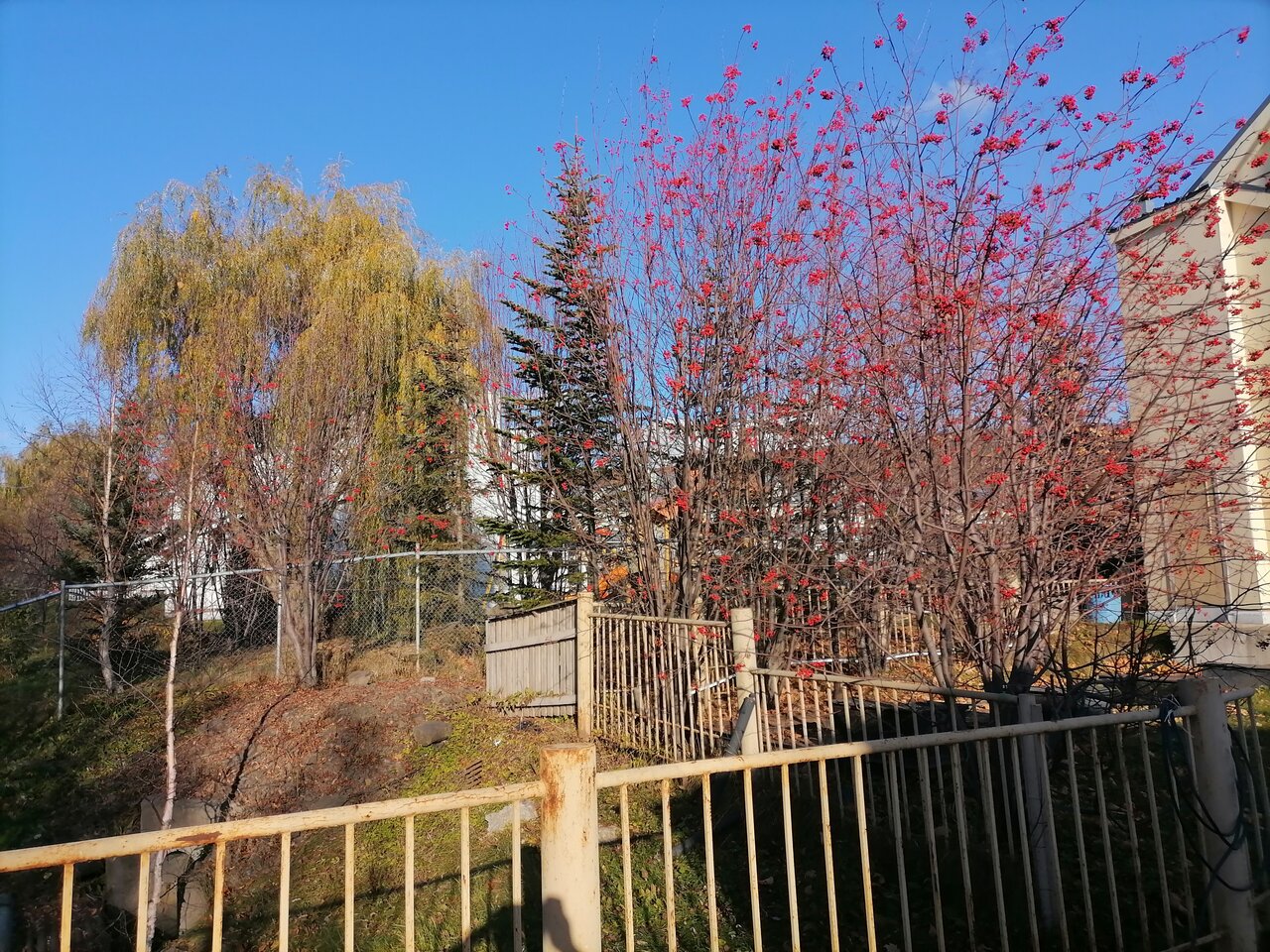 Гостиница Земляничные Холмы Южно-Сахалинск-144