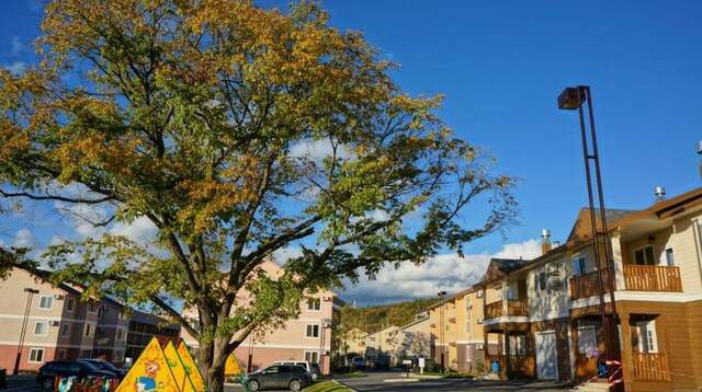 Гостиница Земляничные Холмы Южно-Сахалинск-67